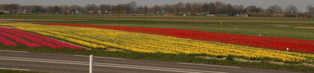 psycholoog "over de dijk"